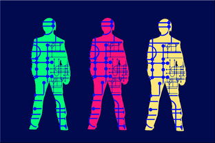 米兰体育网页版登录-中国足球青训人才成长周期趋势数据，中国足球青训将来的发展