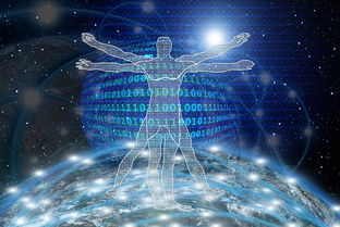 米兰体育网页版登录-中国足球青训人才成长周期趋势数据，中国足球青训将来的发展